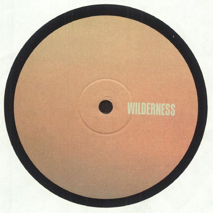 Response & Pliskin Seabeams EP: Deep, Spiritual Drum & Bass Vinyl Record