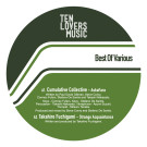 VARIOUS - Best Of Various / TLM034 EP